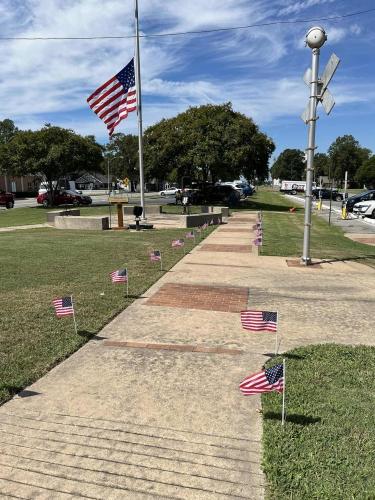 306096884 422281243380279 6413951233819380633 n